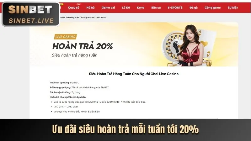 Tổng quan các môn thể thao tại betvnd9 link mới