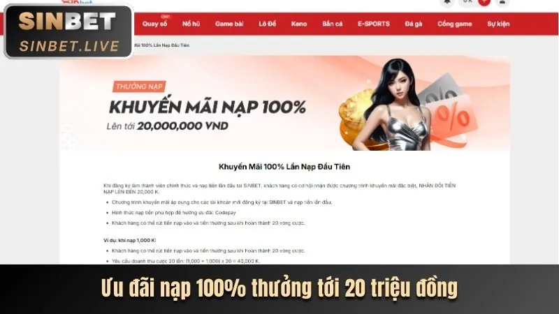 Điền thông tin vào mẫu đăng ký BetVND9